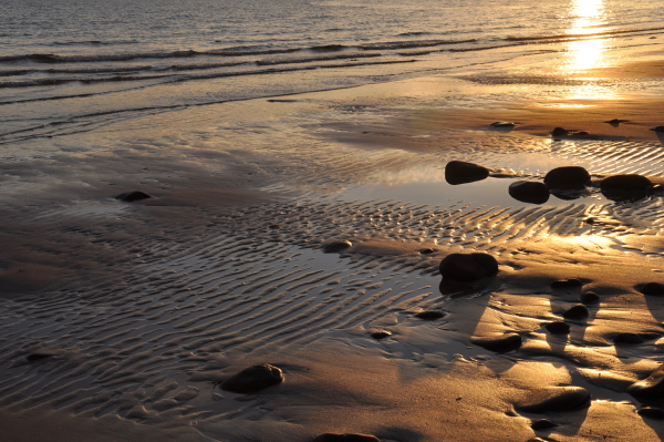 Scaled image dsc_0204.jpg 