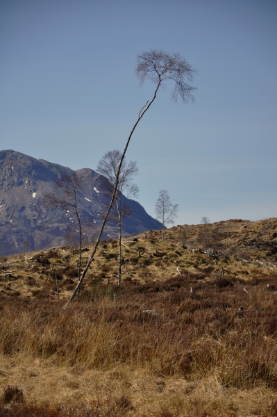 Scaled image dsc_0275.jpg 