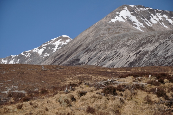 Scaled image dsc_0281.jpg 