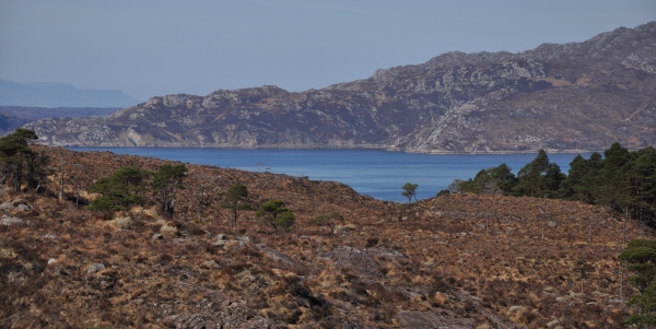 Scaled image dsc_0321.jpg 