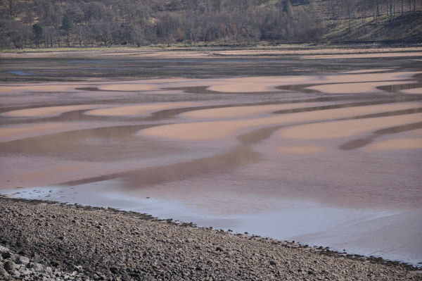 Scaled image dsc_0351.jpg 