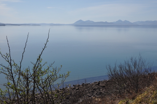 Scaled image dsc_0355.jpg 