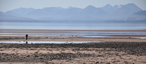 Scaled image dsc_0368l.jpg 