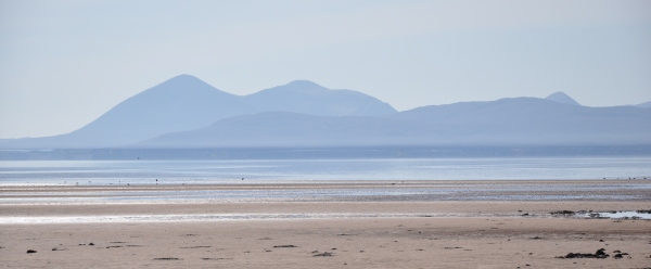 Scaled image dsc_0377l.jpg 