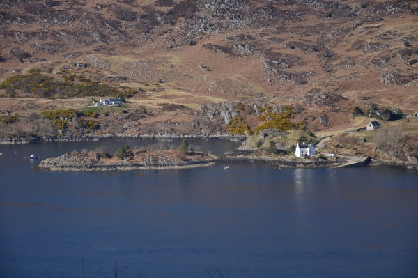 Scaled image dsc_0386.jpg 