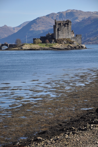 Scaled image dsc_0459.jpg 