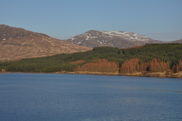 Scaled image dsc_0465.jpg 