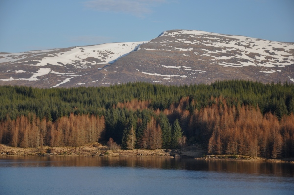 Scaled image dsc_0466.jpg 