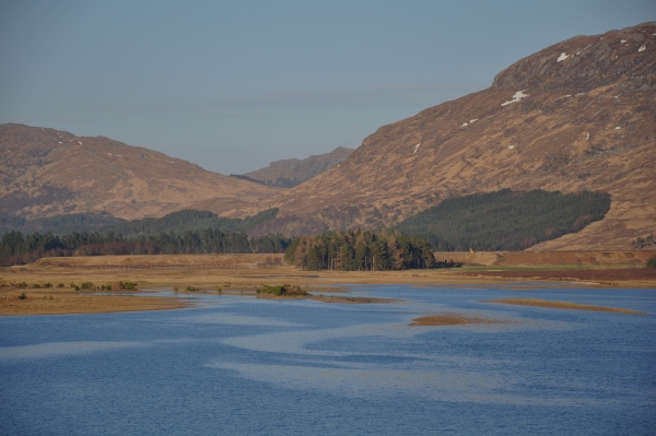 Scaled image dsc_0468.jpg 