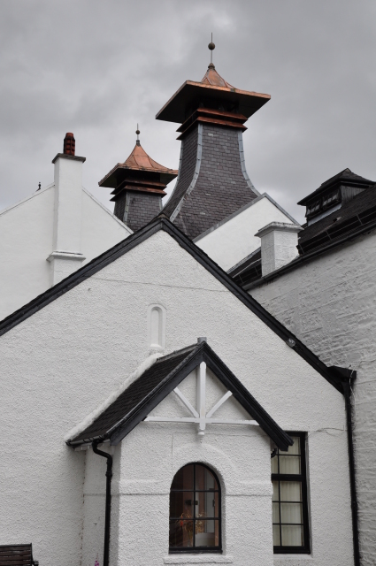 Diapositive DSC_0684.JPG 