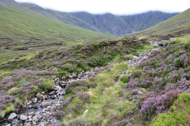 Diapositive DSC_0698.JPG 