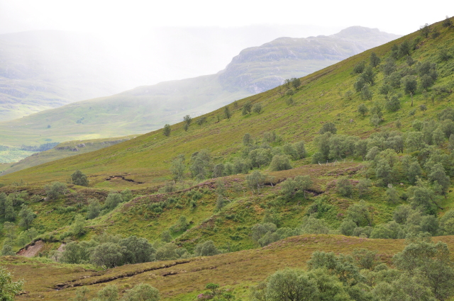 Diapositive DSC_0705.JPG 