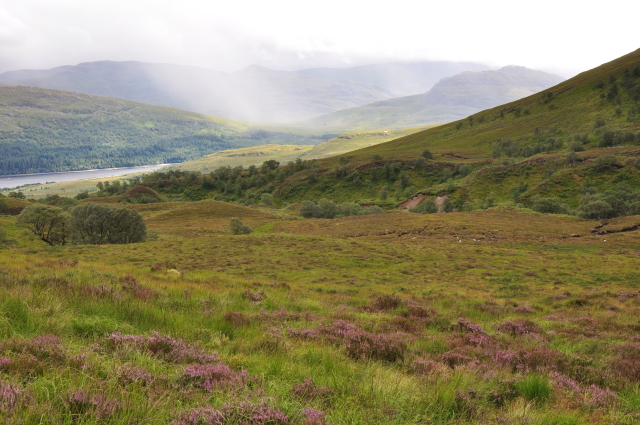 Diapositive DSC_0706.JPG 