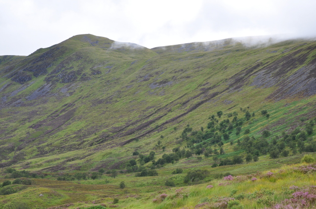 Diapositive DSC_0717.JPG 