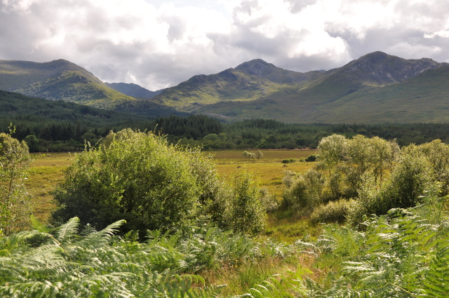 Diapositive DSC_0724.JPG 