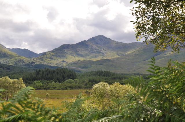 Diapositive DSC_0726.JPG 