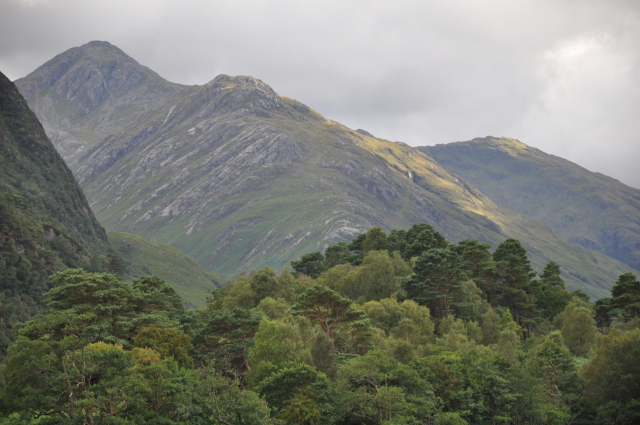 Diapositive DSC_0742.JPG 