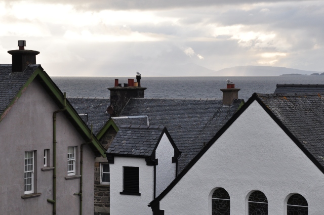 Diapositive DSC_0765.JPG 