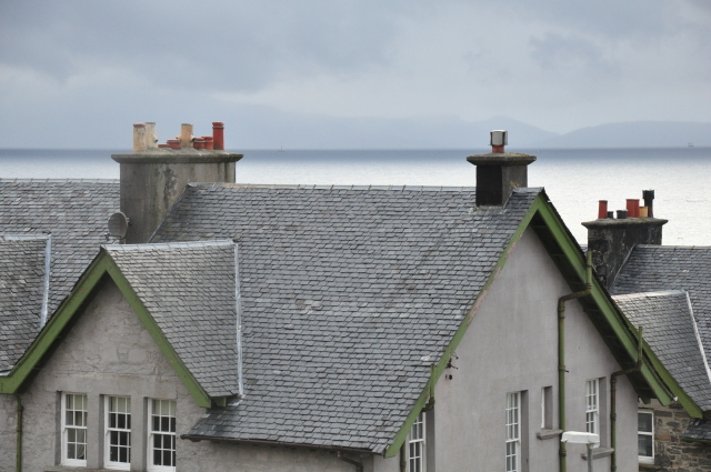 Diapositive DSC_0781.JPG 