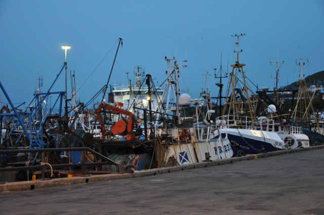 Diapositive DSC_0799.JPG 