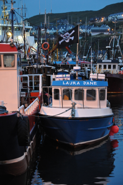 Diapositive DSC_0807.JPG 