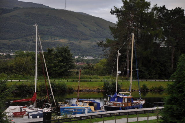 Diapositive DSC_0843.JPG 