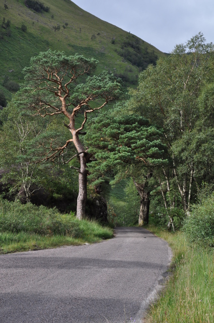 Diapositive DSC_0873.JPG 