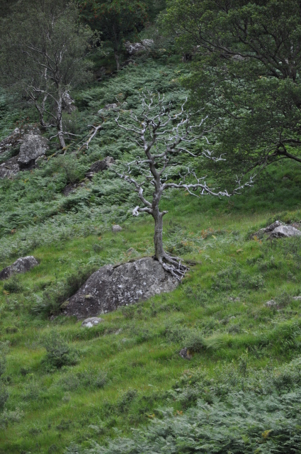 Diapositive DSC_0888.JPG 