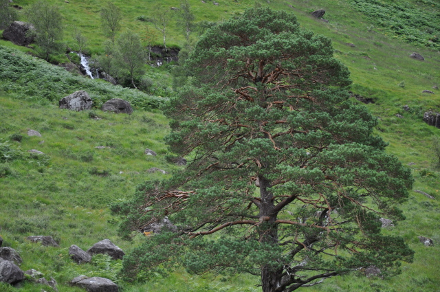 Diapositive DSC_0896.JPG 