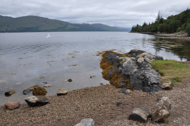 Diapositive DSC_0911.JPG 