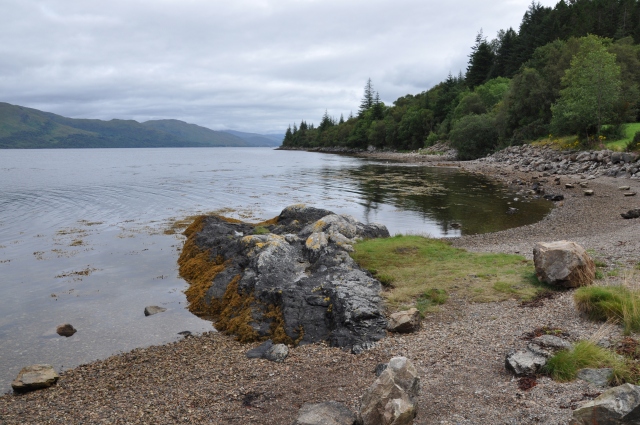 Diapositive DSC_0916m.JPG 