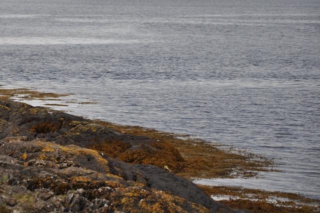 Diapositive DSC_0943mm.JPG 