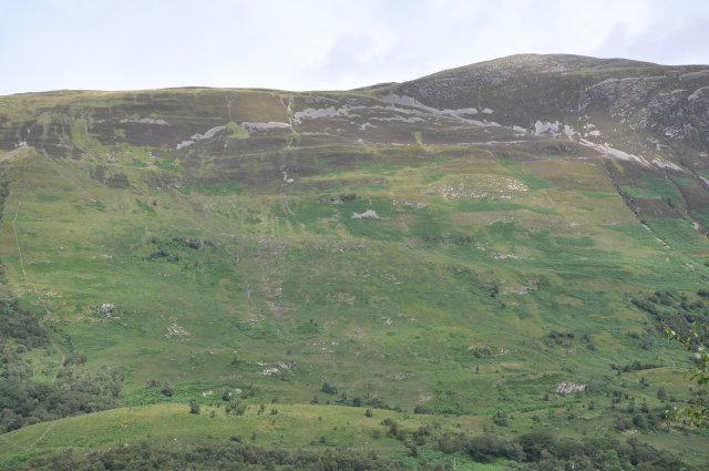 Diapositive DSC_1009.JPG 