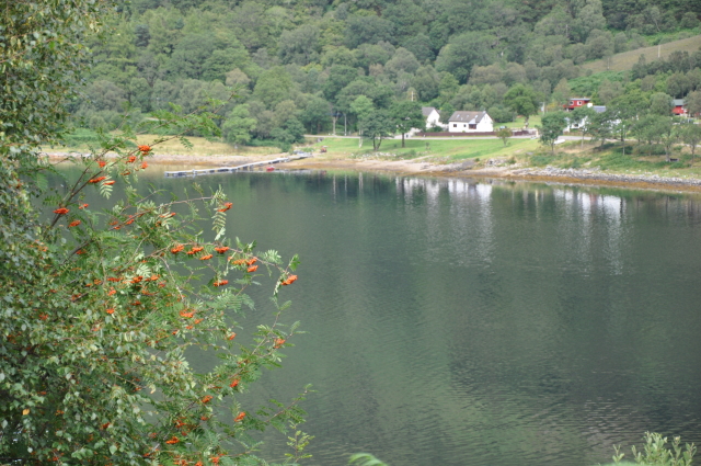 Diapositive DSC_1014.JPG 