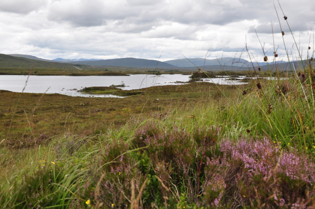 Diapositive DSC_1140.JPG 