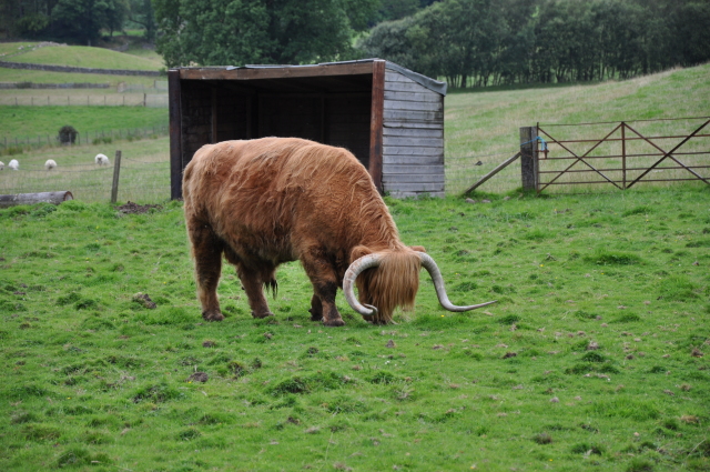 Diapositive DSC_1145.JPG 