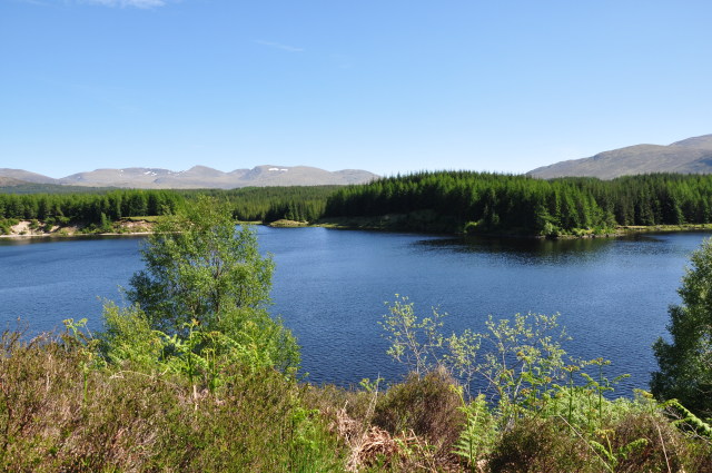 Diapositive 3_DSC_0047.JPG 