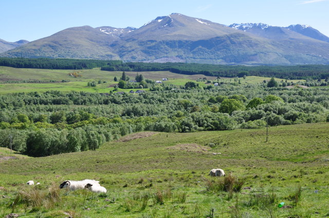 Diapositive 3_DSC_0050.JPG 