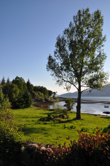 Diapositive 3_DSC_0127.JPG 