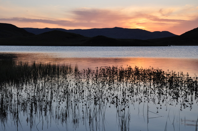 Diapositive 3_DSC_0192.JPG 