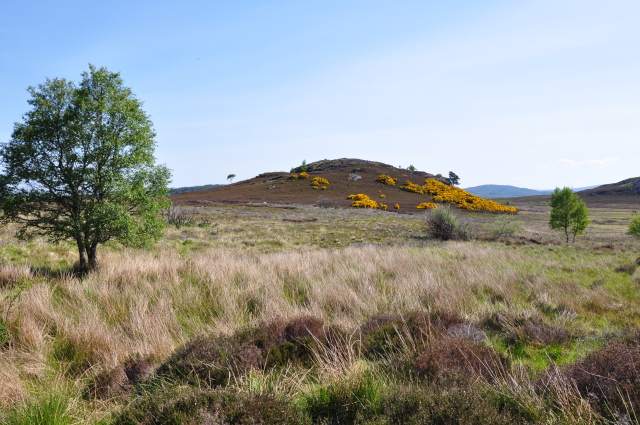 Diapositive 3_DSC_0210.JPG 