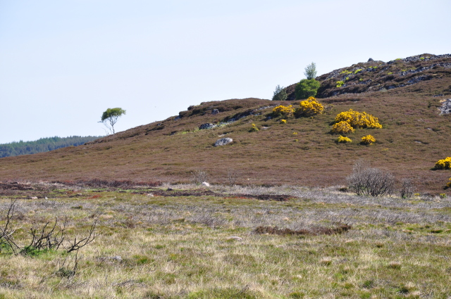 Diapositive 3_DSC_0211.JPG 