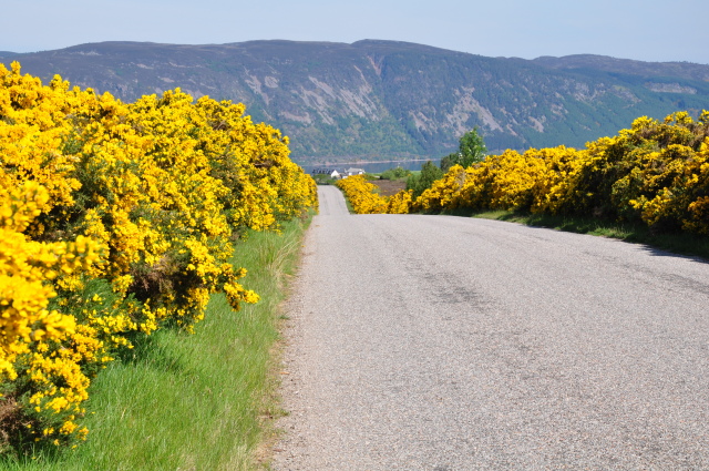 Diapositive 3_DSC_0214.JPG 