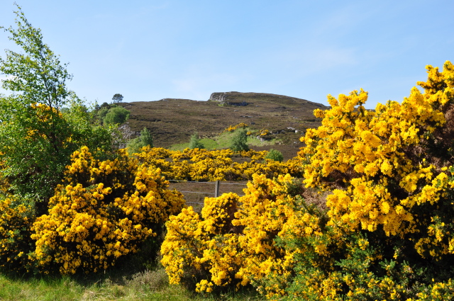 Diapositive 3_DSC_0219.JPG 