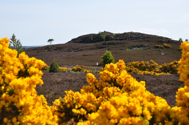 Diapositive 3_DSC_0222.JPG 