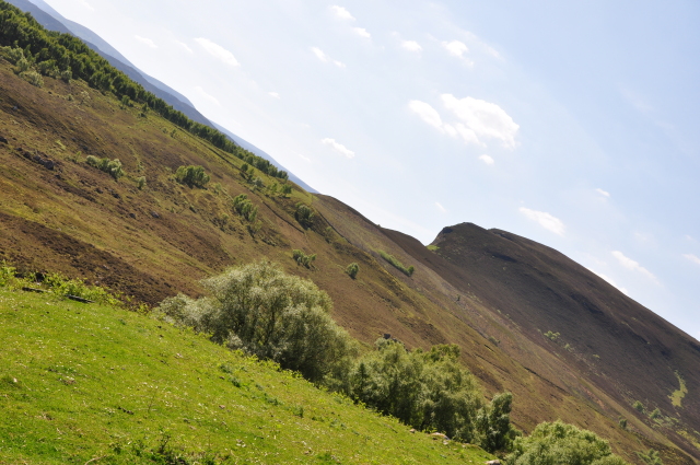 Diapositive 3_DSC_0236.JPG 