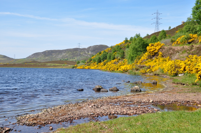 Diapositive 3_DSC_0241.JPG 