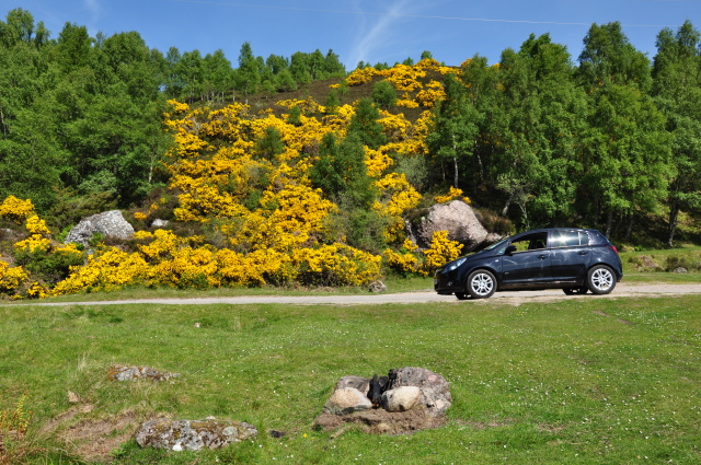 Diapositive 3_DSC_0244.JPG 