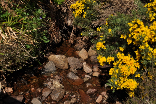 Diapositive 3_DSC_0259.JPG 