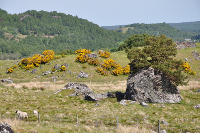 Diapositive 3_DSC_0265.JPG 